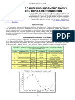 Nutricion Camelidos PDF