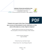 Chile-Resumen-Ejecutivo-Fitorremediacion-Mina-Caracoles (2).pdf