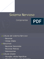 Sistema Nervioso