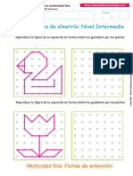 05 Trazos de Simetría - Intermedio PDF