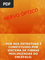 Nervo Óptico