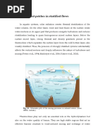 Turbulent Patches in Stratified Flows