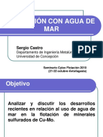 162997081-12-Flotacion-con-Agua-de-Mar-S-Castro.pdf