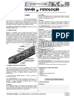 Tejido sanguíneo: concepto, elementos formales y funciones