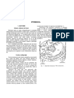 N. A - Stomac (Anatomie Si Fiziologie)