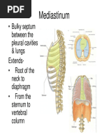 Mediastinum 