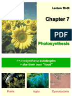 #19-20 CH 7 Photosynthesis Su'17 PDF
