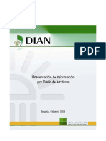 Dian-guiaEnvioDeArchivosDian-V1-04_250208.pdf