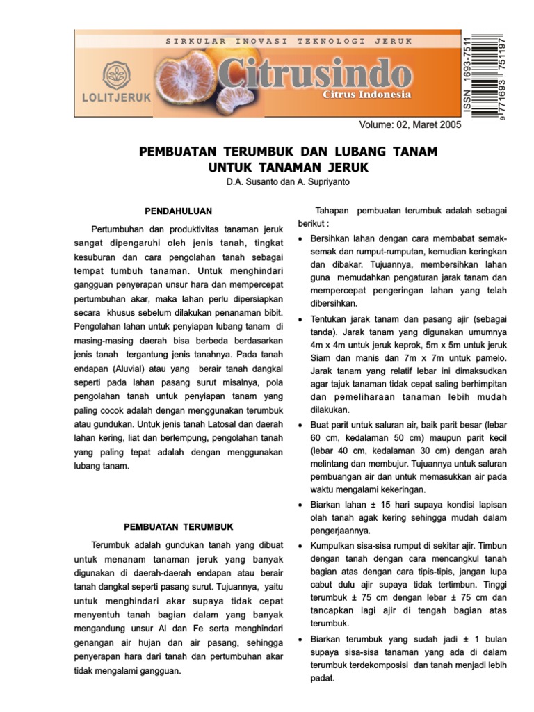 Pembuatan Terumbuk untuk Tanaman Jeruk | PDF