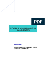 Guión prácticas no silicatos - Javier Luque.pdf