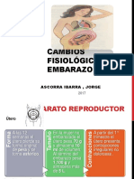 Cambios Fisiologicos Embarazo - Ascorra Ibarra, Jorge