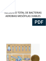 Recuento Total de Bacterias Aerobias Mesã - Filas Viables