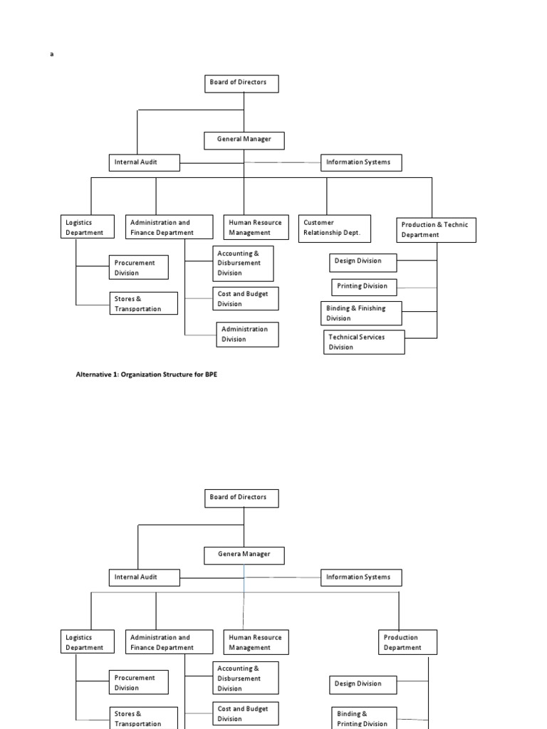 BPE Organizational Structure Overview | PDF | Business Economics ...