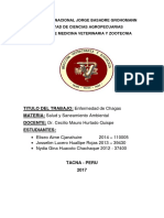 Monografía de Salud y Saneamiento Ambiental