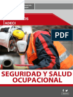 Diplomado Seguridad y Salud Ocupacional