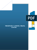 fichasarea3_percpecin_atencin.pdf