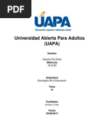 Sociologia Tema IV