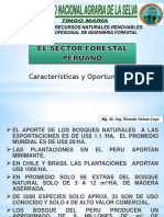 1.2 Sector Forestal Peruano