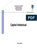 3-Capital Intelectual