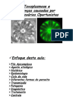 Toxoplasmose_2012.pdf