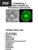 Toxoplasmose_2012.pdf