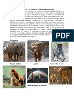 ANIMALES Y PLANTAS EN PELIGRO DE EXTINCIÓN.docx