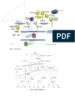 Network Investigation