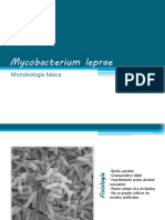 Mycobacterium Leprae