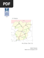 Manual Arcview