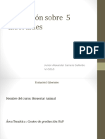 Evaluación Sobre Las 5 Libertades 23-06-17