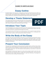 Essay Writing Guidelines