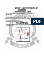 Learning Objectives: Late Development and Partitioning of The Heart