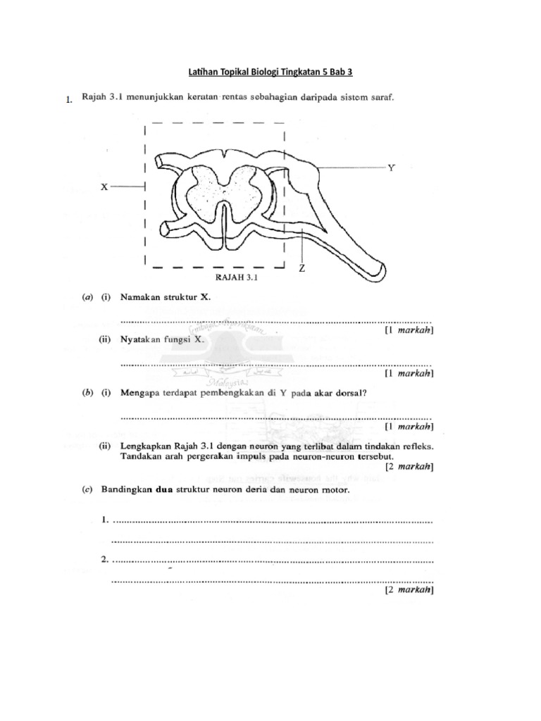 Latihan Topikal Biologi Tingkatan 5 Bab 3 Pdf