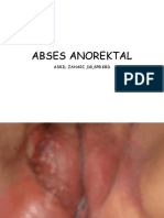  Anorektal