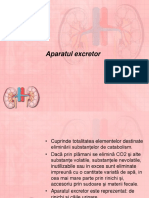 Aparatul excretor