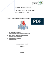 Plan Anual de Capacitacion 2015.docx 1