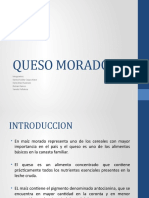 Elaboración de un producto innovador QUESO MORADO UNAM