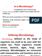 Medical Microbiology