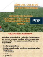 Alcachofa-Nutricion Del Cultivo y Balance Nutricional