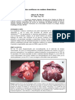 Neoplasias Card Acas. Oct 14