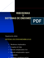 Sistema de Endomembranas Principal