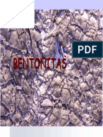 Bentonitas_1 (1).pdf