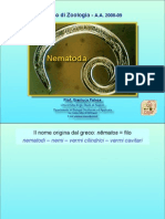 05b Nematodi New