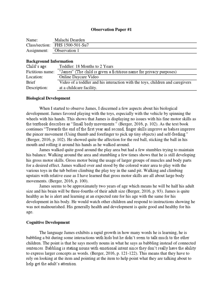 Synthesis essay example picture