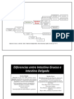 Intestino Grueso Final