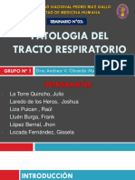 Seminario Dra Obando Patología Tracto Respiratorio