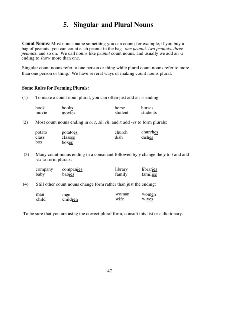 Singular and Plural Noun Rules | PDF | Plural | Grammatical Number