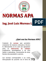 N0RMAS APA 6.ppt