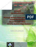 morfologiayreproduccion-hongosdiapo-120325210442-phpapp01 - copia.pptx