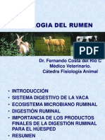 Fisiologia Del Rumen